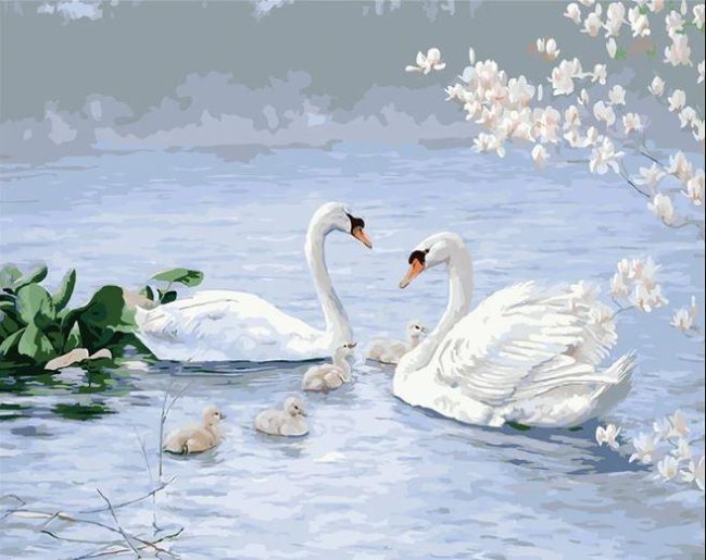 Modern Swan Family Birds Paint By Numbers