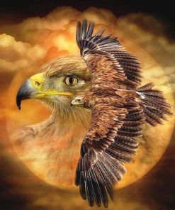 Modern Bird Paint By Numbers