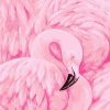 Pink Flamingos Birds Paint By Numbers