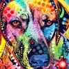 Rainbow Dog Paint By Numbers