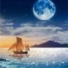 Ocean Moonlit Seascape Paint By Numbers