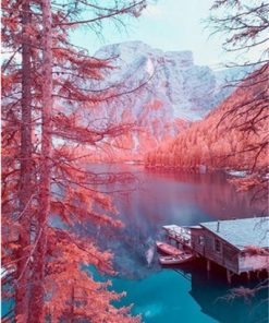 Winter Lake Scene Paint By Numbers