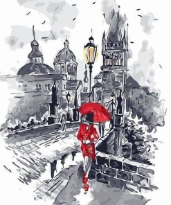 Red Woman in Istanbul Paint By Numbers