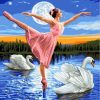 Swan Lake Dance Paint By Numbers