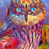 Colorful Owl Birds Paint By Numbers