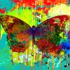 Colorful Butterfly Splash Paint By Numbers