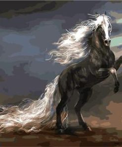White Arabian Horse Paint By Numbers
