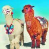 Aesthetic Llama Paint By Numbers