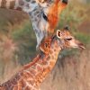 Mother Giraffe Wildlife Paint By Numbers