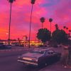 Vintage California Sunset Paint By Numbers
