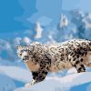 Winter Snow Leopard Paint By Numbers
