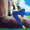 Dragon Ball Z Android 18 Paint By Numbers