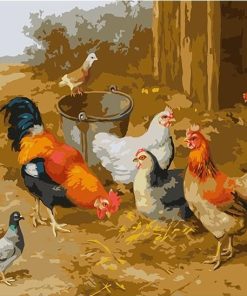 Edgar Hunt Chickens Pigeons Paint By Numbers