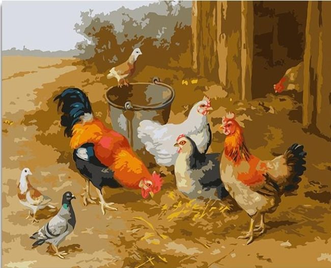 Edgar Hunt Chickens Pigeons Paint By Numbers