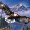 Eagle Flying Paint By Numbers