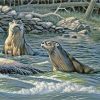 River Otter Wildlife Paint By Numbers