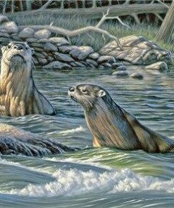 River Otter Wildlife Paint By Numbers