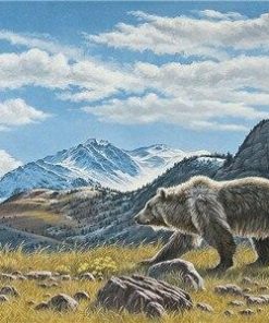 Mountain Bear Wildlife Paint By Numbers