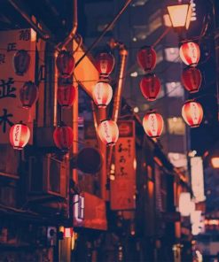 Japan City Streets Paint By Numbers
