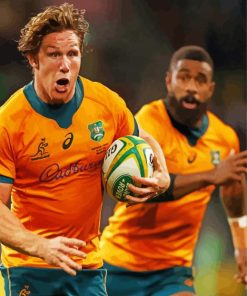 Aust Rugby Team Paint By Numbers