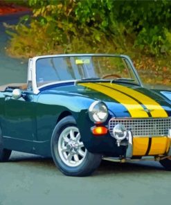 Austin Healey Classic Car Paint By Numbers