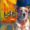 Aussie Cattle Dog Paint By Numbers