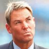 Shane Warne Cricketer Paint By Numbers