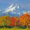 Mt Hood Oregon Autumn Landscapes Paint By Numbers