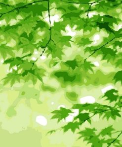 Green Landscapes Paint By Numbers