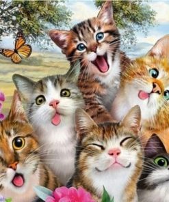 Cute Cats and Colorful Butterflies Paint By Numbers