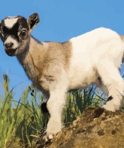 Cute Baby Goat Paint By Numbers