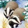Badger Wildlife in Snow Paint By Numbers
