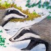 Snowy Badgers Paint By Numbers