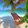 Island Hammock Seascape Paint By Numbers