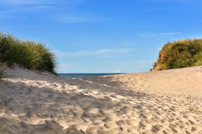 Beach Sand Scenery Paint By Numbers