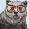 Grizzly Bear With Glasses Paint By Numbers