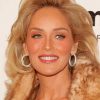 Sharon Stone Celebrity Paint By Numbers