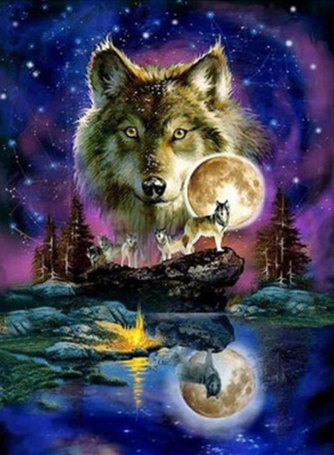 Wolf and Moon Animals Paint By Numbers