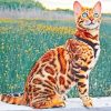 Bengal Cat Kitten Paint By Numbers
