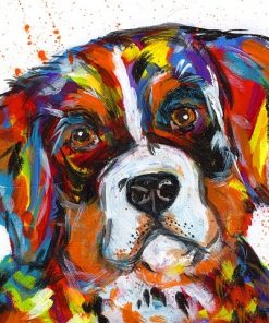 Majestic Bernese Mountain Dog Paint By Numbers