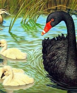 Modern Black Duck Bird Paint By Numbers