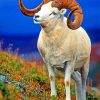Bighorn Sheep Ram Paint By Numbers