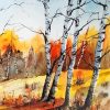 Birch Fall Forest Paint By Numbers