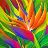 Breezy Bird Of Paradise Paint By Numbers
