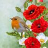 Birds on Red Poppy Paint By Numbers