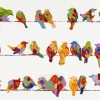 Colorful Birds on Wire Paint By Numbers
