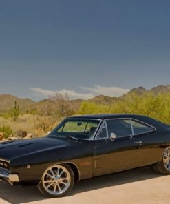 Classic Dodge Charger Paint By Numbers