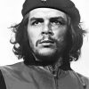 Che Guevara Iconic Black and White Paint By Numbers