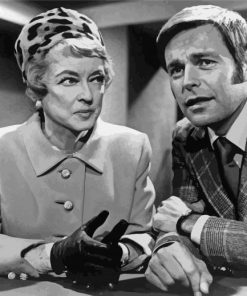 Robert Wagner Classic Actor Paint By Numbers