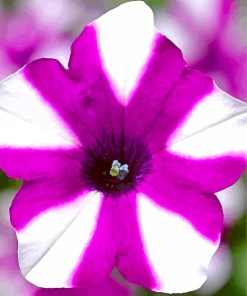 Petunia Blooming Masterpiece Paint By Numbers
